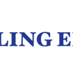 Bling Effect. Discover Your Radiance and Worth